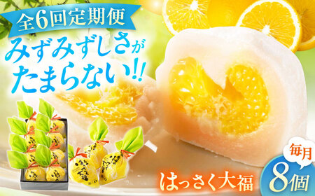 【6回定期便】お菓子 はっさく大福8個入　 お菓子 大福 八朔 柑橘 みかん オレンジ 餅 ギフト お取り寄せ スイーツ フルーツ大福 ご当地 菓子 おかし デザート 食品 人気 おすすめ 広島県福山市/株式会社虎屋本舗[BADH023]