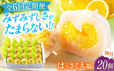 【6回定期便】お菓子 はっさく大福20個入　 お菓子 大福 八朔 柑橘 みかん オレンジ 餅 ギフト お取り寄せ スイーツ フルーツ大福 ご当地 菓子 おかし デザート 食品 人気 おすすめ 広島県福山市/株式会社虎屋本舗[BADH031]