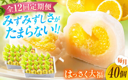 【12回定期便】お菓子 はっさく大福20個入×2　 お菓子 大福 八朔 柑橘 みかん オレンジ 餅 ギフト お取り寄せ スイーツ フルーツ大福 ご当地 菓子 おかし デザート 食品 人気 おすすめ 広島県福山市/株式会社虎屋本舗[BADH036]