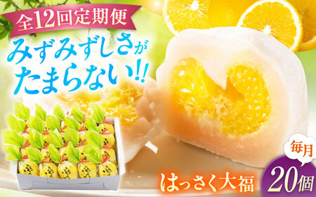 【12回定期便】お菓子 はっさく大福20個入　 お菓子 大福 八朔 柑橘 みかん オレンジ 餅 ギフト お取り寄せ スイーツ フルーツ大福 ご当地 菓子 おかし デザート 食品 人気 おすすめ 広島県福山市/株式会社虎屋本舗[BADH032]
