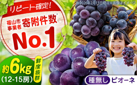 [期間限定/8月下旬〜9月上旬頃発送] 沼隈ぶどう「ピオーネ」 約2kg×3 12から15房(種なし) [BAEV007] ぶどう