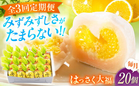 【3回定期便】お菓子 はっさく大福20個入　 お菓子 大福 八朔 柑橘 みかん オレンジ 餅 ギフト お取り寄せ スイーツ フルーツ大福 ご当地 菓子 おかし デザート 食品 人気 おすすめ 広島県福山市/株式会社虎屋本舗[BADH030]