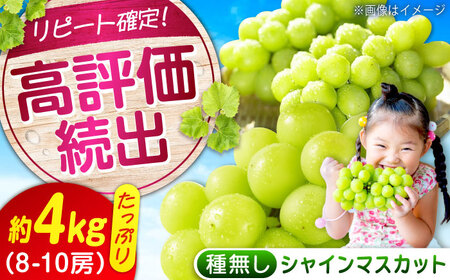 数量限定/9月上旬?9月下旬頃発送 沼隈ぶどう「シャインマスカット」 約2kg×2(8から10房) 広島県福山市/福山市農業協同組合 沼隈グリーンセンター ぶどう ブドウ 葡萄 種なし 大粒 マスカット シャインマスカット[BAEV011]