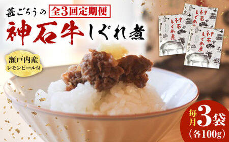 【全3回定期便】神石しぐれ煮 100g×3袋 [BAEC036]しぐれ煮