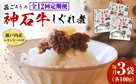 【全12回定期便】神石しぐれ煮 100g×3袋 [BAEC038]しぐれ煮