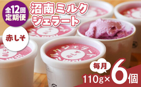 yS12ցz~NWF[g Ԃ U [BAEC041]WF[g