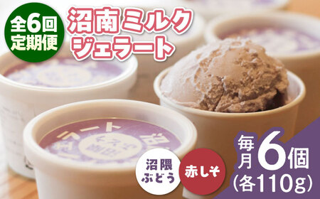 yS6ցz~NWF[g GԂǂԂ@e3 [BAEC047]WF[g