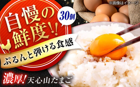 天心山 たまご 30個(10個入り×3パック) 卵 たまご 高級 食品 たまごかけご飯 卵かけご飯 卵焼き 生卵 濃厚 ケーキ お菓子 づくり ランキング 上位 人気 おすすめ 広島県福山市/天心山ファーム[BABW013]