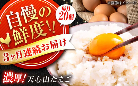 [全3回定期便]天心山 たまご20個(10個入り×2パック) 卵 たまご 高級 食品 たまごかけご飯 卵かけご飯 卵焼き 生卵 濃厚 ケーキ お菓子 づくり ランキング 上位 人気 おすすめ 定期便 広島県福山市/天心山ファーム[BABW018]