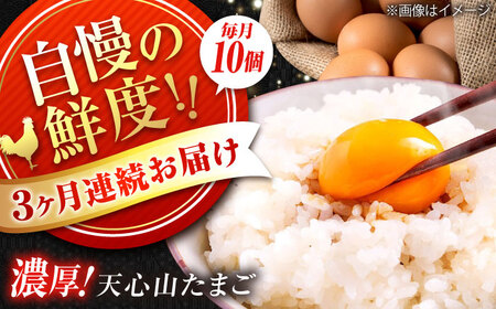 [全3回定期便]天心山 たまご 10個入り×1パック 卵 たまご 高級 食品 たまごかけご飯 卵かけご飯 卵焼き 生卵 濃厚 ケーキ お菓子 づくり ランキング 上位 人気 おすすめ 定期便 広島県福山市/天心山ファーム[BABW022]