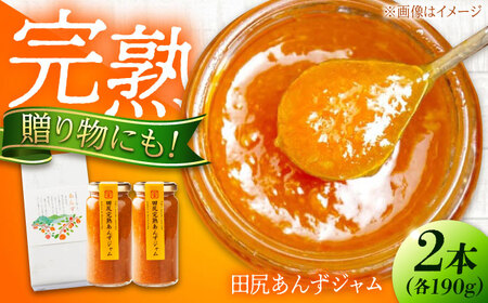 ジャム 田尻完熟あんずジャム (2本) ジャム 果物 あんず パン 甘い 菓子 朝ごはん 広島県福山市/有限会社勉強堂[BAFL011]