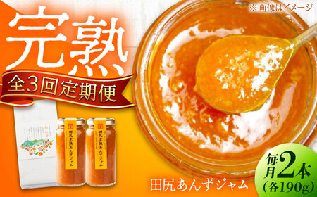 [全3回定期便] ジャム 田尻完熟あんずジャム (2本) ジャム 果物 あんず パン 甘い 菓子 朝ごはん 広島県福山市/有限会社勉強堂[BAFL012]