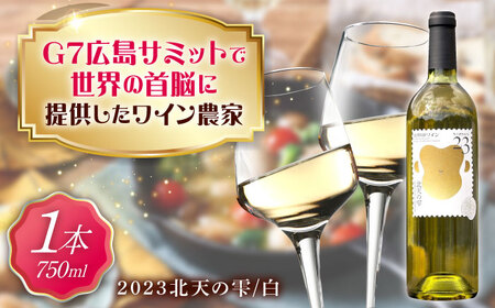 山野峡ワイン2023北天の雫 [BADO009] ワイン