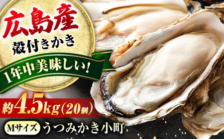 冷蔵牡蠣 かき小町Mサイズ20個 牡蠣 [BAAQ008]