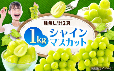先行予約 [2026年9月中旬から10月上旬発送]シャインマスカット 2房入り 計1kg[BAGF005]シャインマスカット