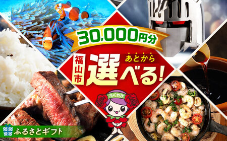 [あとから選べる]福山市ふるさとギフト 3万円分[BAZZ003] あとからセレクト