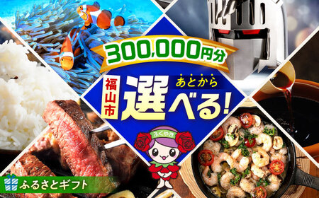 [あとから選べる]福山市ふるさとギフト 30万円分[BAZZ012] あとからセレクト