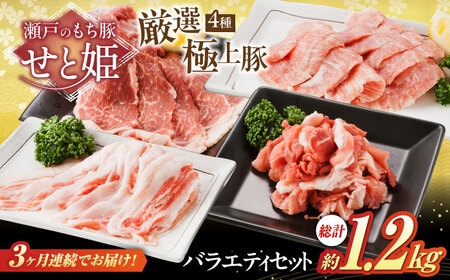 [全3回定期便]バラエティセット約1,200g (肩ロース・バラ・小間切れ・豚トロ 各300g) [BAER079]豚肉