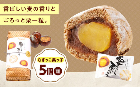 �ނ������I���q�i5���J�S�j [BAFL029] �I�\��