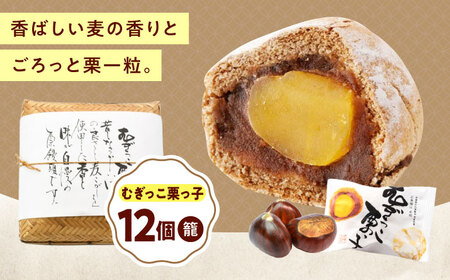 �ނ������I���q�i12���J�S�j[BAFL031] �I