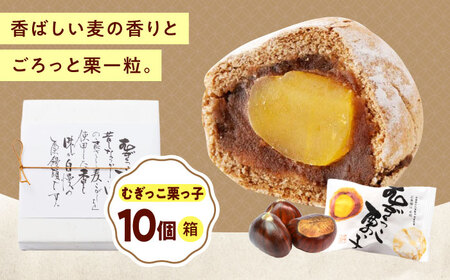 �ނ������I���q�i10�����j[BAFL032] ����