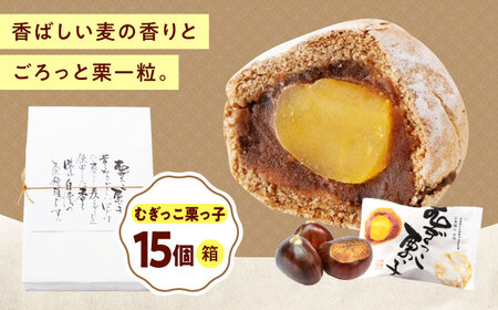 �ނ������I���q�i15�����j[BAFL033]