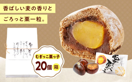 �ނ������I���q�i20�����j[BAFL034] �I