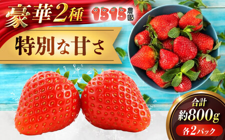 いちご[もういっこ・紅ほっぺ]200g×4パックセット [BAGD001] いちご