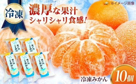 みかん 田尻産 冷凍みかん 10個 [BAGS002] みかん