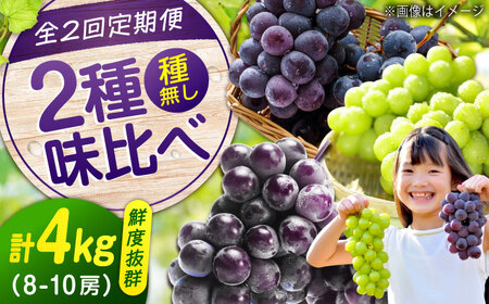 ぶどう[全2回定期便]ピオーネ マスカット 各2kg(計2種)[BAEV014] ぶどう