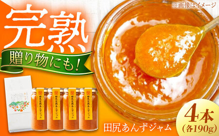 田尻完熟あんずジャム 4本セット [BAFL002] ジャム