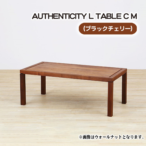 （CH） AUTHENTICITY L TABLE C M No.795