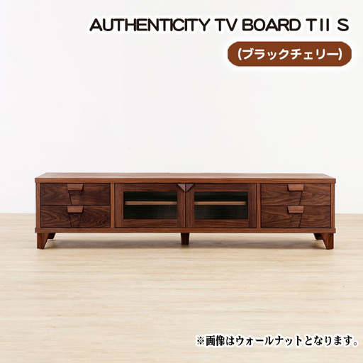 （CH）AUTHENTICITY TV BOARD TⅡ S No.849