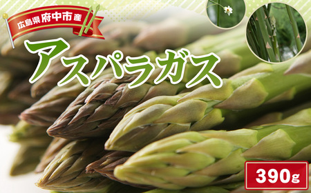 No.1086 アスパラガス 390g