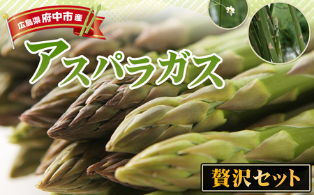 No.1088 アスパラガスの贅沢セット