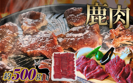No.1126 @XCX@500g ^ VR   VJ  VJ  WrG  쐶 Ă ē 痿  wV[ L Yi