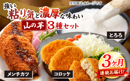 [全3回定期便][冷凍]山の芋3種セット[APAD006] 惣菜 惣菜 惣菜 惣菜 惣菜