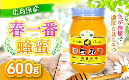 国産 はちみつ 春一番蜂蜜600g[APAE002] はちみつ