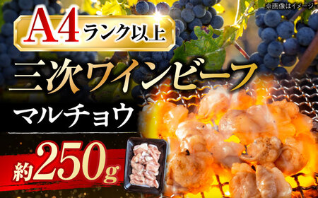 三次ワインビーフ マルチョウ[APAX004] 肉 肉 肉 肉 肉