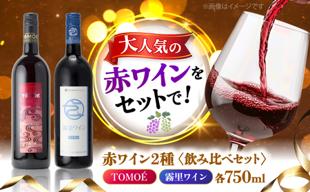 おすすめ 赤ワイン 霧里ワイン TOMOE マスカットベーリーA やや甘口 ワイン 受賞 飲みワインセット ギフト[APAZ009] ワイン ワイン ワイン ワイン ワイン