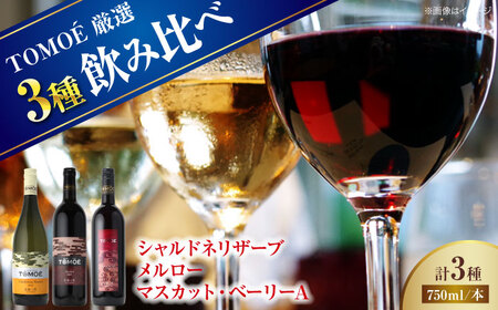 [先行予約][8月中旬から順次発送]厳選TOMOEワイン3本セット ワイン 受賞 飲みワインセット ギフト[APAZ033] ワイン ワイン ワイン ワイン ワイン
