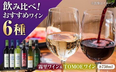 霧里ワイン&TOMOEワイン6本セット ワイン 受賞 飲みワインセット ギフト[APAZ036] ワイン ワイン ワイン ワイン ワイン