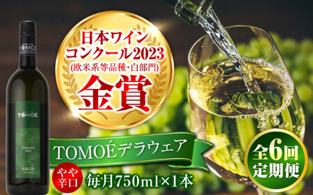 【全6回定期便】TOMOEデラウェア 白ワイン [APAZ051] ワイン ワイン ワイン ワイン ワイン