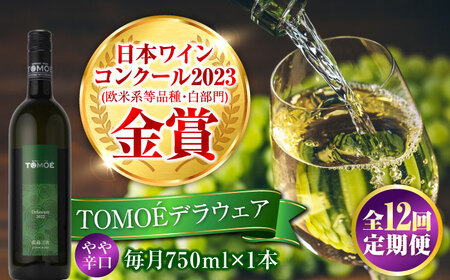【全12回定期便】TOMOEデラウェア 白ワイン [APAZ052] ワイン ワイン ワイン ワイン ワイン