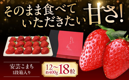 [先行予約][12月下旬から順次発送]水素水で育ったいちご「安芸こまち」1段箱入り 低農薬 苺 イチゴ 高級 フルーツ 果物 ベリー ギフト 贈答[APBI002] いちご いちご いちご いちご いちご