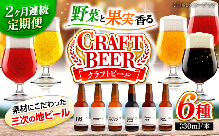 [全2回定期便]クラフトビール 地ビール[APCA003] ビール ビール ビール ビール ビール