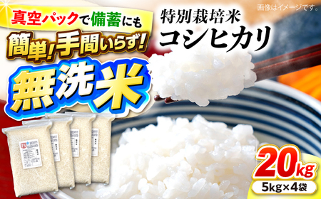 無洗米[先行予約][9月中旬から順次発送]20kg [APCH007] 無洗米 無洗米無洗米無洗米