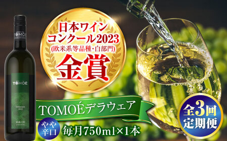 【全3回定期便】TOMOEデラウェア 白ワイン [APAZ050] ワイン ワイン ワイン ワイン ワイン