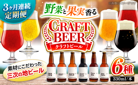 [全3回定期便]クラフトビール 地ビール [APCA004] ビール ビール ビール ビール ビール
