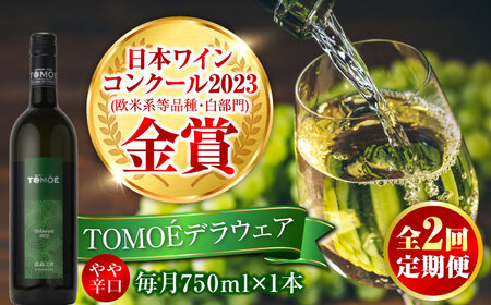 [全2回定期便]TOMOEデラウェア 白ワイン やや辛口 白 ワイン 受賞 ギフト 醸造[APAZ049] ワイン ワイン ワイン ワイン ワイン